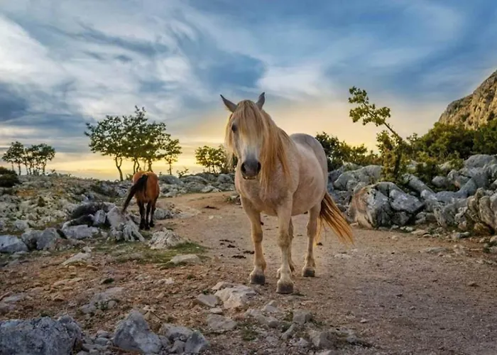 Kuk With Heated Salt Water Pool - Βίλα