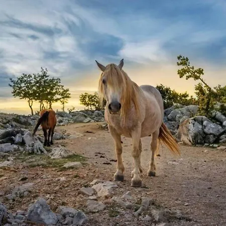 Kuk With Heated Salt Water Pool - فيلة